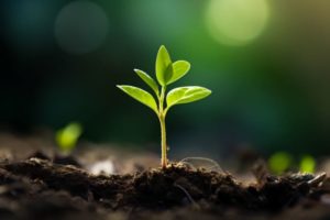 【現場レポ】参加者の可能性や成長にフォーカスして、信じ抜くこと