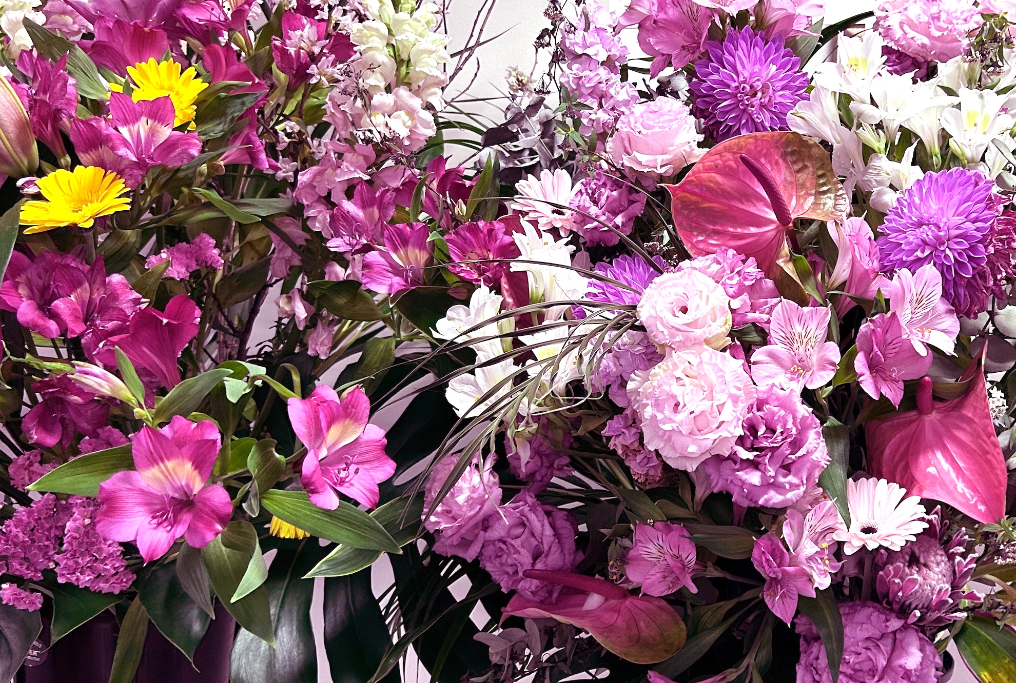 RTHグループ20周年記念式典に参加しました